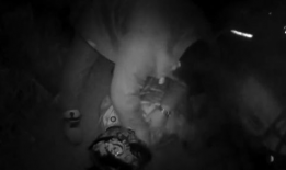 女子被杀视频,视频揭露惊人真相