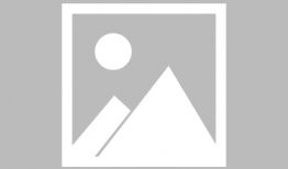 荔枝嫁接技术视频,视频详解嫁接技巧与要点