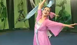 老年人舞蹈视频,老年人舞蹈视频的魅力与启示