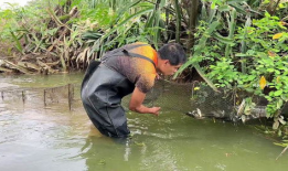 抓鱼视频,揭秘海洋生态的奇妙世界